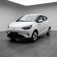 Nouvelle berline électrique intelligente Jiang Ling EV3 LHD 5 portes 4 places, écologique, purement électrique, pour la ville, véhicule à énergie verte