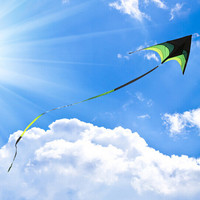 Cerf-volant d'extérieur pour enfants et adultes, motif imprimé à rayures d'oiseaux, triangulaire arc-en-ciel, avec queue et poignée, vente en gros
