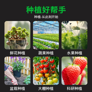 เครื่องวัดดิน 6 in 1 วัดความชื้น ค่า pH ความอุดมสมบูรณ์ อุณหภูมิ ความชื้นในอากาศ แสง สำหรับการเกษตรและพืชสวน เครื่องวิเคราะห์อเนกประสงค์ - Product Image 4