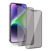 Protecteur d'écran de confidentialité anti-espion pour iPhone 16 15 14 13 12 Plus Pro Max Protecteur de caméra anti-espionnage avec installation