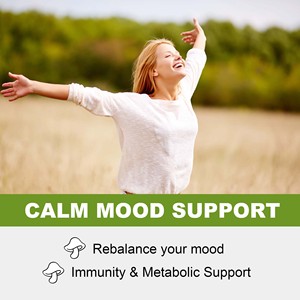 Private Custom Mushroom Gummies Immune Support Energy Support Cognitive Memory Support Contains Lion's Mane With Black Fungus - Product Image 2