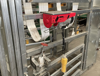 Chute de désodorisation hydraulique entièrement automatique et robuste, galvanisée, pour le traitement des sabots de bovins et ovins / Équipement d'étranglement pour bétail