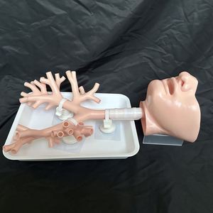 KyrenMed broncoscopia simulatore di allenamento Bronchi albero bronchiale modello bronco 4 con bocca orale vassoio e supporto colore della pelle - Product Image 4