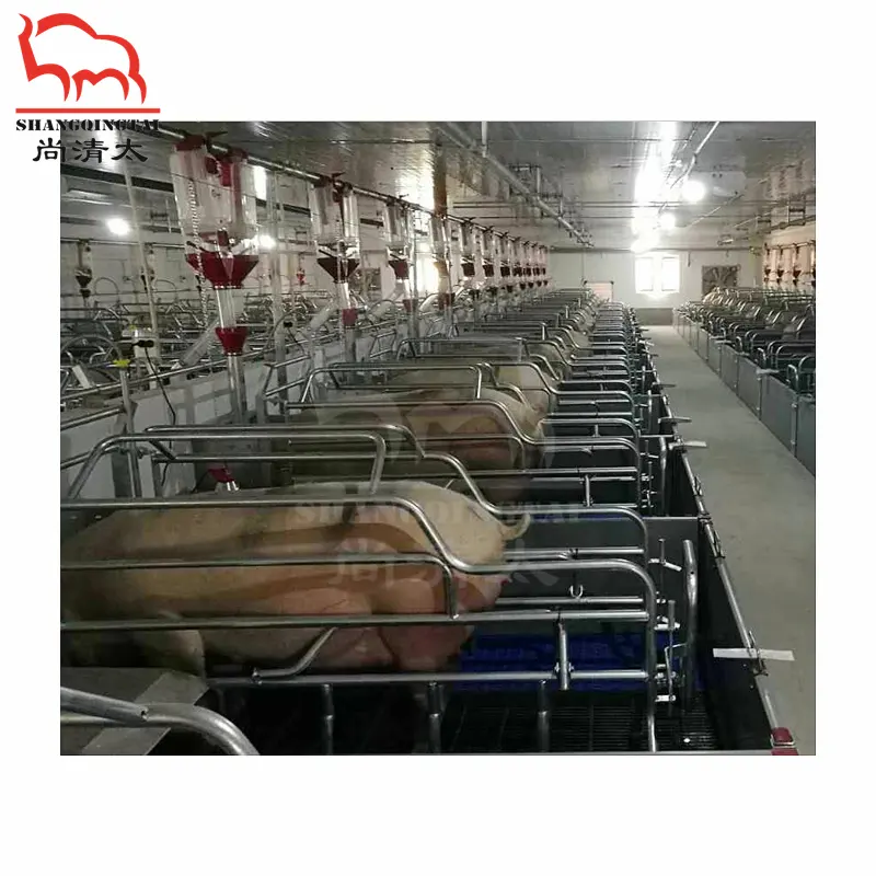 돼지 농장 동물 케이지 중국 도매 제품 공장 돼지 농장 펜 piggery 장비