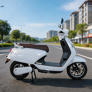CKD <span class=keywords><strong>Moto</strong></span> Elettrica da 12 Pollici, <span class=keywords><strong>la</strong></span> Migliore, 1100W/1300W, Velocità 60km/h, 2 Posti, Batteria al Litio, Scooter Elettrico per Adulti - Product Image 3