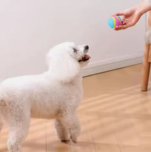 Juguete Ecológico, Duradero e Interactivo para Mascotas, Pelota para Perros con Sonido, Material TPR, Aroma a Carne para Masticar - Product Image 4