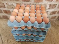 Vouwbare, stevige, wegwerpbaar, milieuvriendelijke eierdoos van bagasse, biologisch afbreekbaar, 30-cels verpakking voor kippen eieren