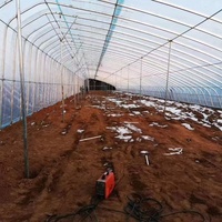 Vente en gros 500 m2 structure de culture de tomates unique tropicale intelligente grand tunnel de serre agricole en plastique pour potager