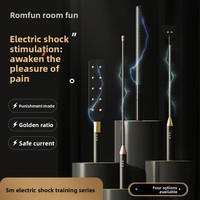 Accessoires pour adultes : Bâton et fouet électriques à intensités réglables, pour la punition BDSM, l'entraînement et les jeux SM