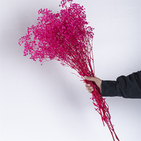 Grosir bunga Gypsophila bunga asli diawetkan bunga warna kustom kering untuk dekorasi buket pernikahan dengan harga terbaik
