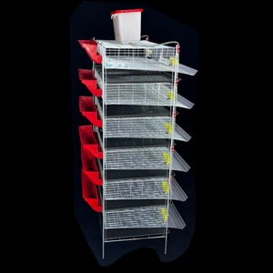 6 Tekerlekli Dikey Bıldırcın Kafesi, Otomatik Besleme ve Sulama Özellikli Yumurtlama Kafesi, Bıldırcın Yetiştiriciliği için Atık Temizleme - Product Image 3
