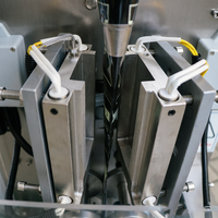 Machine de remplissage automatique pour liquides, sauces, poudres, shampoings, gels douche, miel en petits sachets