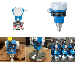 Original New E+H Differential Endress Hauser PMD50 PMD55B PMD75B MD71 PMD75 PMD78 PMP131 1PMD All Series - Product Image 2