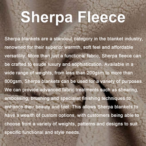 Manta Sherpa Ecológica al por Mayor, Suave, de Doble Capa, de Felpa, Gruesa, de Poliéster, para Invierno - Product Image 4