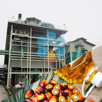 Wij bouwen een palmolieplant met een complete productielijn en complete machines voor dorsen, koken, persen en raffinage.