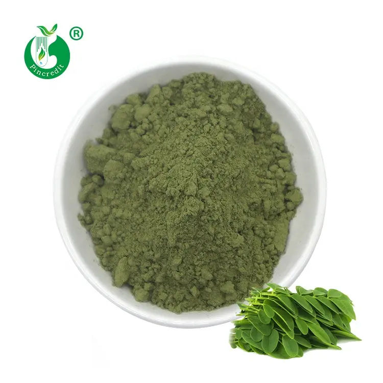 Moringa Powder Bulk Private Label Supplier Best Price Organic Bulk Moringa Oleifera Leaf Powder