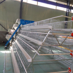 <span class=keywords><strong>Prix</strong></span> bas Europe Usine un type poules pondeuses batterie cage à poulet avec poulailler pour l'Afrique - Product Image 1