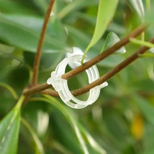 Clip de fixation pour plantes en PP épaissi, clip de greffage, clip de fixation pour la <span class=keywords><strong>vigne</strong></span> de tomate, clip de fixation pour les branches - Product Image 4