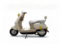 Scooter électrique rétro mignon en forme de canard, moteur 800W, 60V, longue autonomie, vélo électrique pour adultes pour les trajets en ville