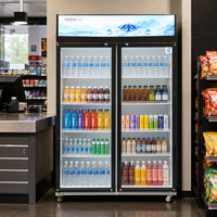 Réfrigérateur commercial vertical à porte vitrée pour boissons, idéal pour les supermarchés et les magasins de proximité