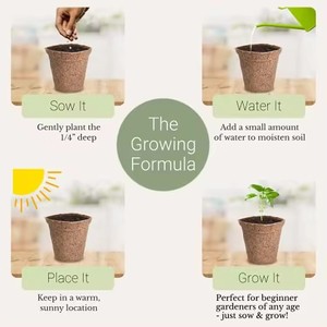 Kit da giardino interno per il giardinaggio domestico con i bambini per piantare Broccoli carote pomodoro zucchine-uso del pavimento - Product Image 5