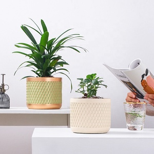 กระถางปลูกพืชคอนกรีตขนาด<span class=keywords><strong>เล็ก</strong></span>เคลือบในร่มดีไซน์ทรง<span class=keywords><strong>เพชร</strong></span>แบบตั้งโต๊ะ - Product Image 2