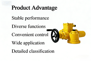 มอเตอร์วาล์วไฟฟ้าอัจฉริยะแบบหลายรอบ DZW สำหรับประตูรั้ว ผลิตโดย OEM สำหรับงานด้านพลังงาน - Product Image 5