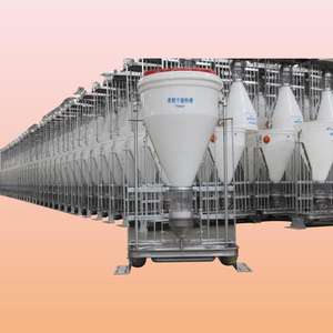 Comedero Automático para Cerdos de Plástico y Acero, Marca Hengyin, Nuevo, Blanco, para Alimentación Húmeda/Seca, 50 kg - Product Image 1