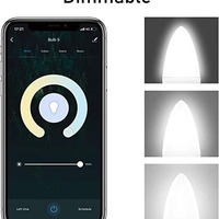Ampoule LED intelligente certifiée ES pour l'Amérique du Nord, en plastique, avec commande vocale Alexa, RGB-CW, culot E12, pour jardin