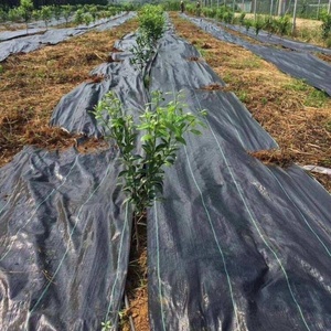 1.2m 1X10m Couverture de sol robuste PP biodégradable tapis de contrôle des mauvaises herbes barrière en plastique blanc chevilles agricoles clous broche - Product Image 2