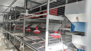 新しい家庭用屋外移動可能な鶏小屋移動式鶏小屋ホイール1年保証鉄骨構造180-200鶏ソーラー - Product Image 5