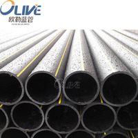 Tuyau de drainage perforé en PEHD 100 mm 110 mm SDR11 DN150 160 mm 200 mm 250 mm 280 mm Tuyau d'eau en PE pour l'irrigation