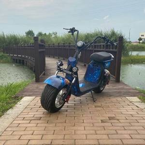 Moto électrique <span class=keywords><strong>vintage</strong></span> 2026, 2000W, cadre en acier, scooter électrique, 60V, vélo de banlieue haute vitesse - Product Image 3