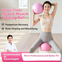 Ballon de yoga prénatal mini 25 cm en PVC épaissi anti-explosion, avec support dorsal lisse et tube en maille pour gymnastique, fitness et massage
