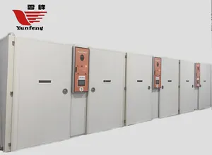 Giá Tốt Nhất Chất Lượng Cao Tỷ Lệ Nở Tốt Hoàn Toàn Tự Động 19200 Lồng Ấp - Product Image 2