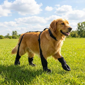 नई हॉट सेलिंग लक्जरी ठोस पॉलिएस्टर वाटरप्रूफ कुत्ते जूते वसंत/ग्रीष्मकालीन आउटडोर चलने के लिए गैर-पर्ची एडजस्टेबल कुत्ते जूते - Product Image 5