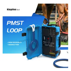 בריאות סוס pmst לולאה לשפר את הסוסים למינציה קולית טיפול equine מכונה