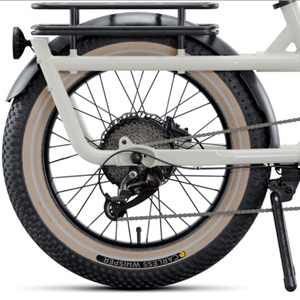 48V Lithium Battery Adult Electric Cargo Trike with Aluminum Alloy Frame 9-Speed Fat Tire for Sand &amp; Snow Delivery - Product Image 6