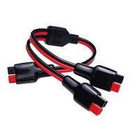 Câble d'extension en Y 12AWG pour panneau solaire, idéal pour générateur solaire et station d'alimentation