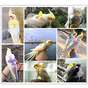 Tali Harness burung murah tali Budgie Cockatiel Macaw sedang kecil tali Harness burung Parrot dapat disesuaikan - Product Image 3