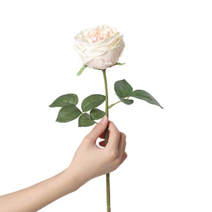 Rosa Artificial Austin para Decoración de Jardines, Adorno para Auditorios, Decoración del Hogar, Flor Artificial, Planta Artificial de Plástico - Product Image 5
