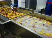 6m Automatische Voedselverwerkingslijnen - Fruit- en groentewasmachine Voedselsterilisator 800kg/u capaciteit SUS30408 Materiaal 3mm