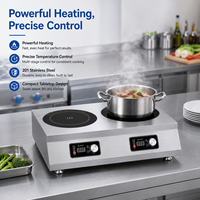 Table de cuisson à induction double brûleur en acier inoxydable, portable, 2 foyers, pour restaurant, café, comptoir