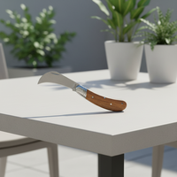 Couteau pliant AUSONIA Grafting 17 cm avec lame en acier inoxydable et manche en bois, fabriqué en Italie, outils de jardin.
