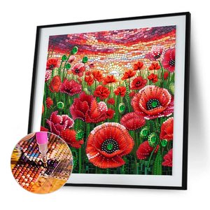Pintura <span class=keywords><strong>de</strong></span> Diamantes <span class=keywords><strong>de</strong></span> Decoración para el Hogar con Forma <span class=keywords><strong>de</strong></span> Amapola <span class=keywords><strong>de</strong></span> 30*30CM, Broca <span class=keywords><strong>de</strong></span> Cristal con Forma Especial, Pintura <span class=keywords><strong>de</strong></span> Diamantes DIY para Decoración <span class=keywords><strong>de</strong></span> Paredes - Product Image 1