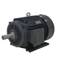 Small Size Three Phase Synchronous AC Motor, 5.5KW ~ 90KW