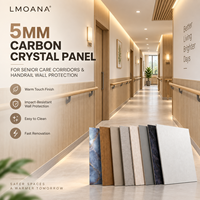 Planche en cristal de carbone de 5 mm, surface tactile chaude en cristal de carbone pour les maisons de retraite, les centres pour personnes âgées, les rampes d'accès