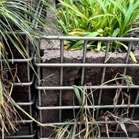 Maille de gabion sur mesure Clôture de berge résistante à la corrosion à haute résistance Nouveau produit durable pour des applications durables