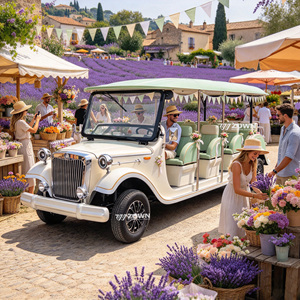 ZOWN - Coche Eléctrico Turístico de Diseño Humanizado Clásico con Neumáticos Antideslizantes para Operaciones Comerciales y Turísticas en Sitios Turísticos - Product Image 1