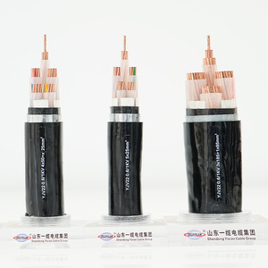 Cáp phân phối điện chính khu dân cư cao tầng yjv/yjv22 Loại đồng - Product Image 6